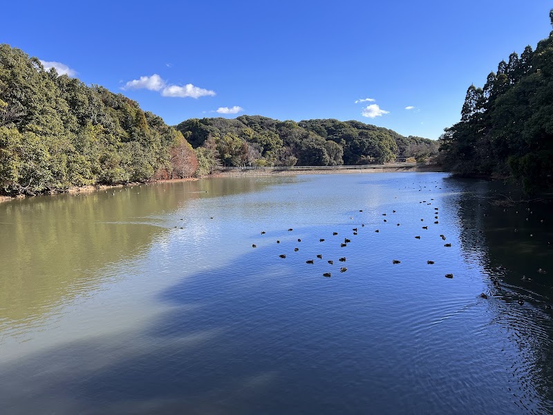 Miyazaki Heiwadai Park: A Peaceful Escape in Japan - Miyazaki - Japan - booked ai