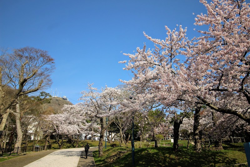 Discovering the Beauty of Hakodate Park - Hakodate - Japan - booked ai
