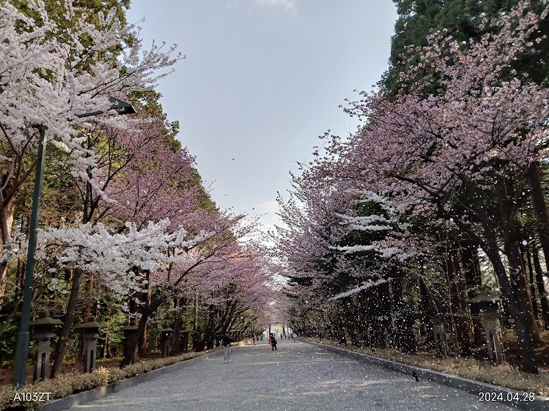 Exploring the Beauty of Maruyama Park - Sapporo - Japan - booked ai