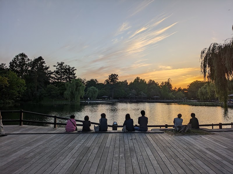Exploring Tokiwa Park in Asahikawa City, Hokkaido - Asahikawa - Japan - booked ai