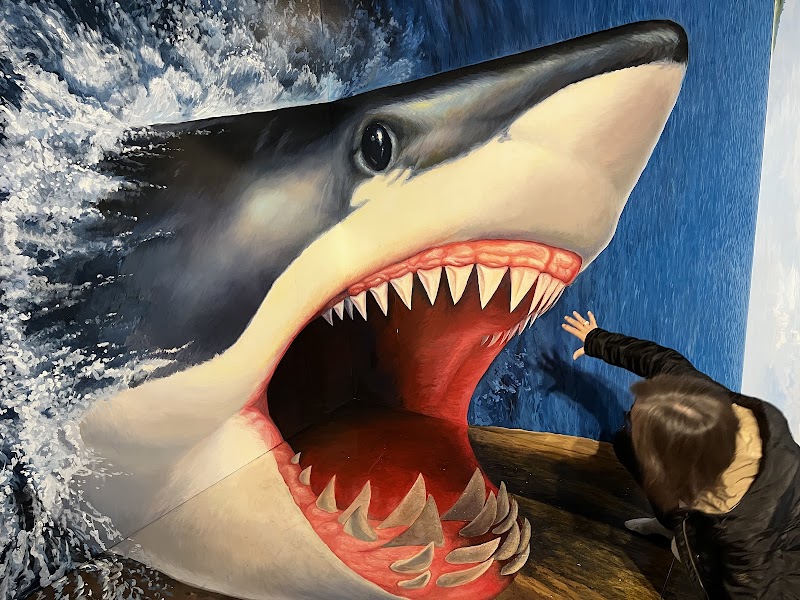 Optical Illusions Unveiled at Atami Trick Art Museum - Atami - Japan - booked ai