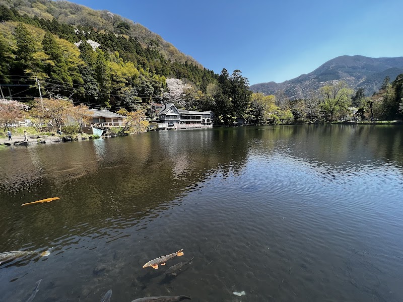 Yufuin Floral Village - Yufu - Japan - booked ai