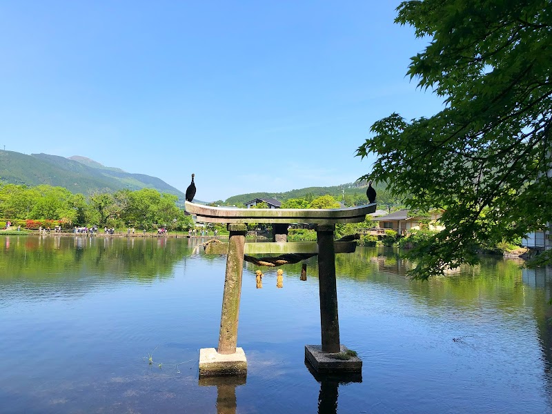 Kinrin Lake: A Hidden Gem of Tranquility - Yufu - Japan - booked ai