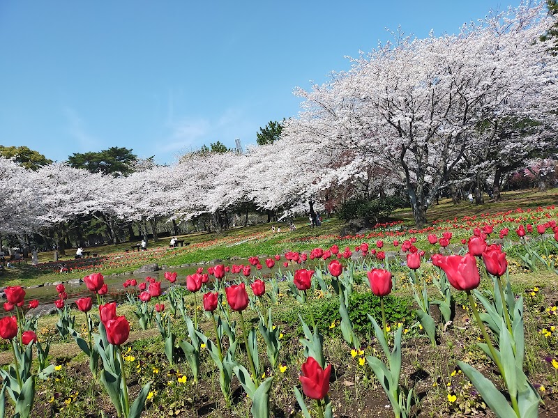Beppu Park: A Serene Escape in the Heart of the City - Beppu - Japan - booked ai