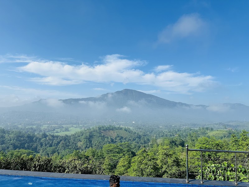 Terrace Cinnamon View Ratnapura - Pelmadulla - Sri Lanka - booked ai