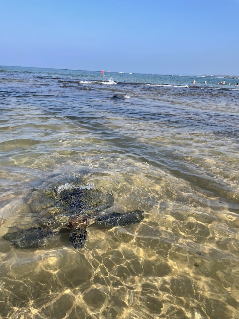 Turtle Beach Hikkaduwa - Hikkaduwa - Sri Lanka - booked ai
