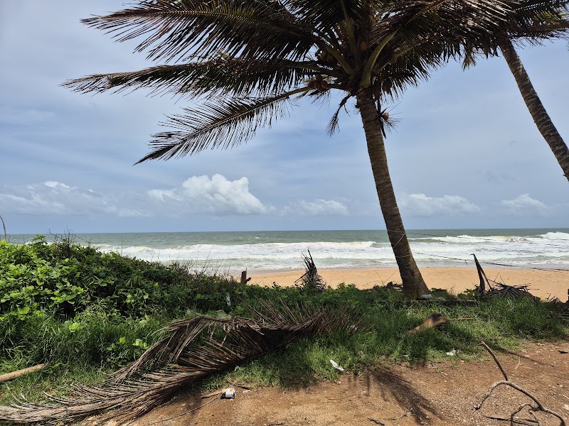 Bentota Beach: A Tropical Paradise in Sri Lanka - Southern Province - Sri Lanka - booked ai