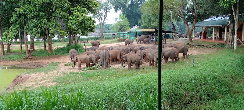 Bentotatuktuktours - Bentota - Sri Lanka - booked ai