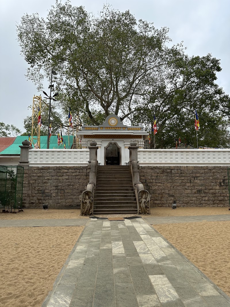 Jaya Sri Maha Bodhi - Anuradhapura - Sri Lanka - booked ai