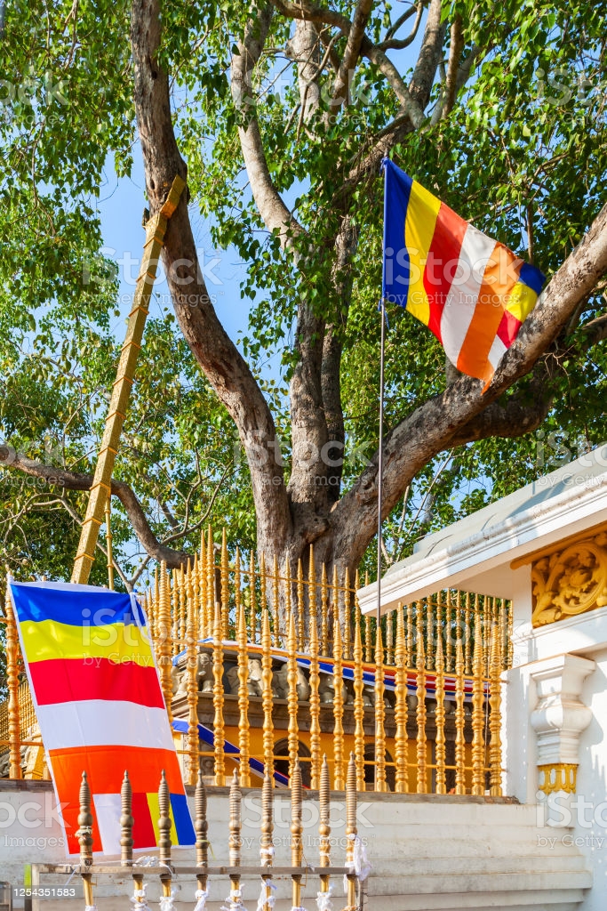 Jaya Sri Maha Bodhi - Anuradhapura - Sri Lanka - booked ai