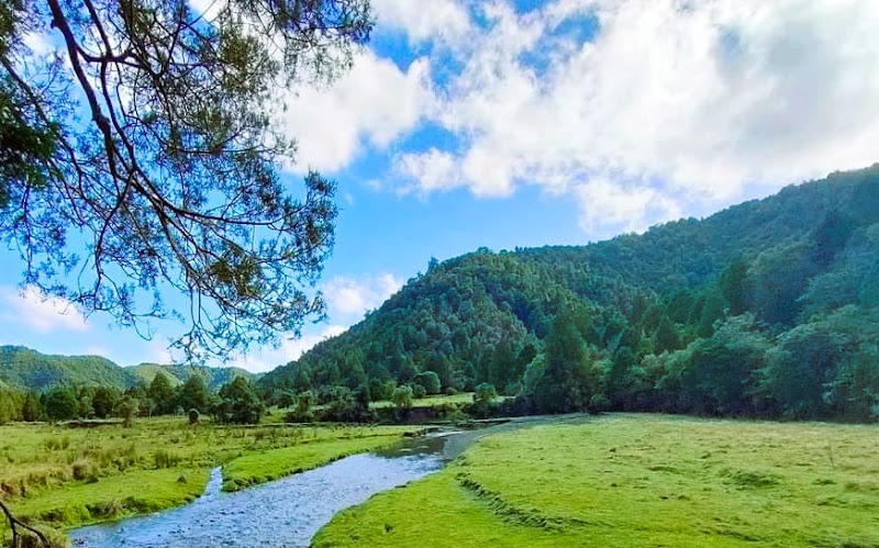Outdoor Mission - Ōpōtiki - New Zealand - booked ai