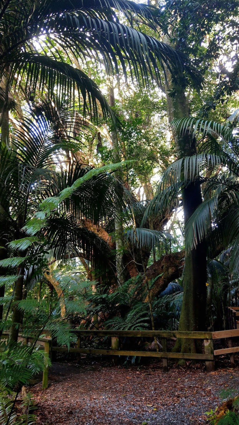 Hukutaia Domain - Ōtara - New Zealand - booked ai