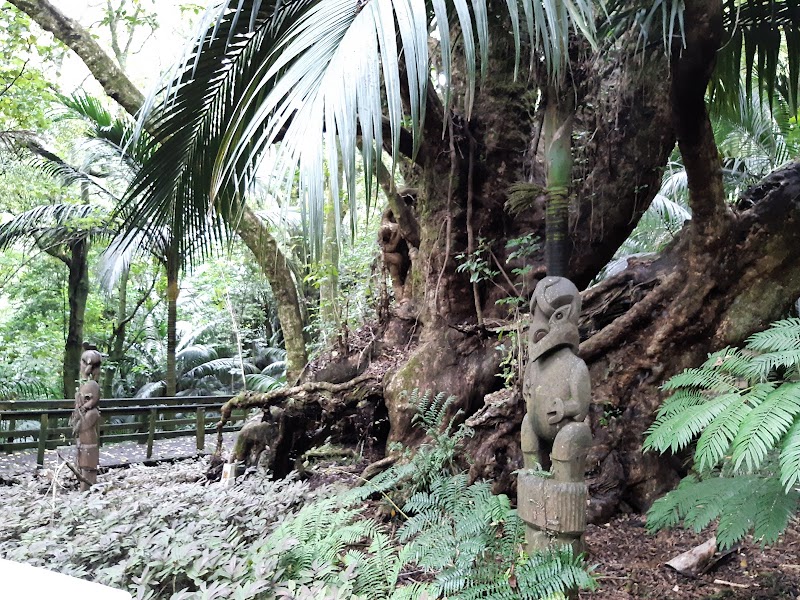 Hukutaia Domain - Ōtara - New Zealand - booked ai