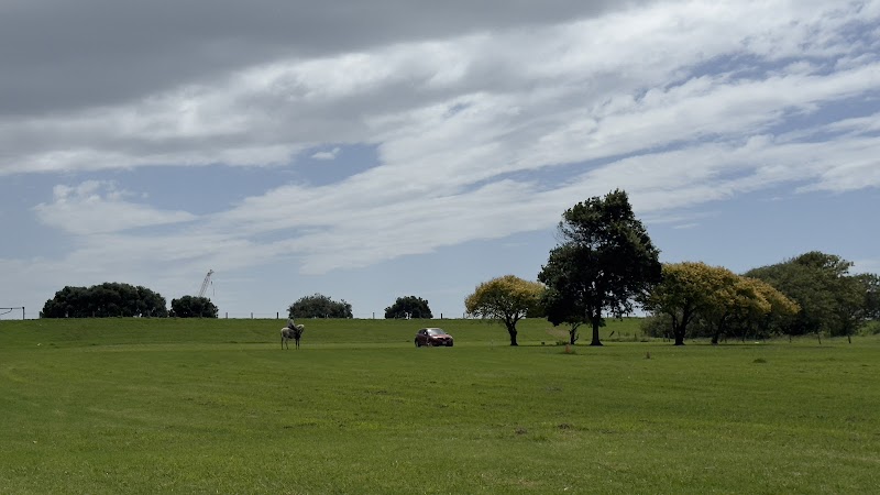 Te Papa Takaro O Whitikau - Ōpōtiki - New Zealand - booked ai