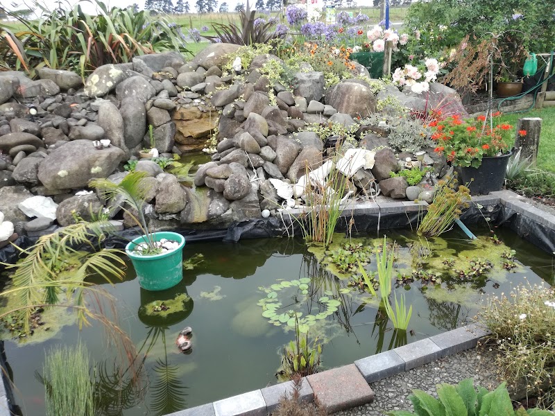 Soleil - Ōpōtiki - New Zealand - booked ai