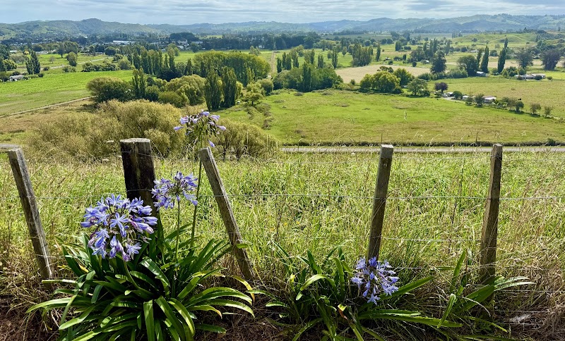 Wairoa Lookout - Wairoa - New Zealand - booked ai