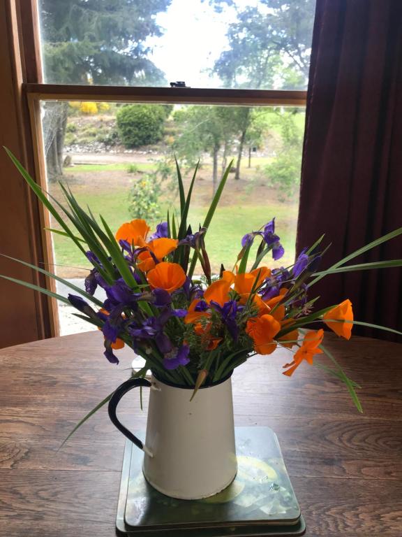 The Old Vicarage, Reefton - Reefton - New Zealand - booked ai