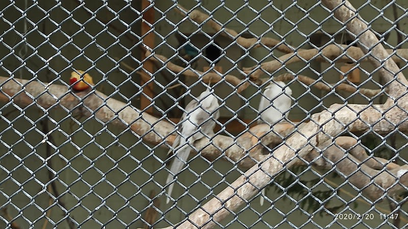 Naish Park - Balclutha - New Zealand - booked ai