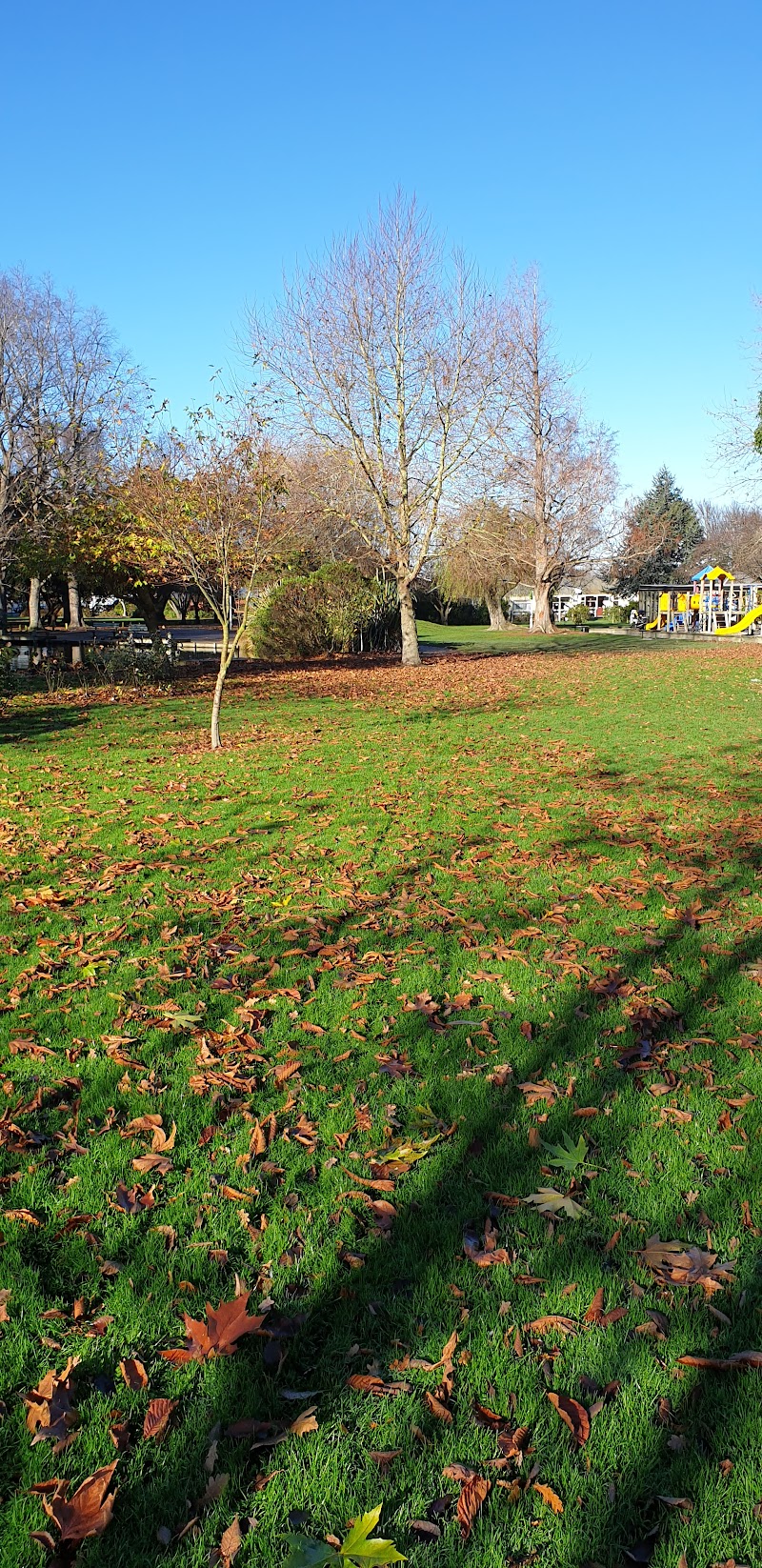 Naish Park: A Community Gem - Balclutha - New Zealand - booked ai