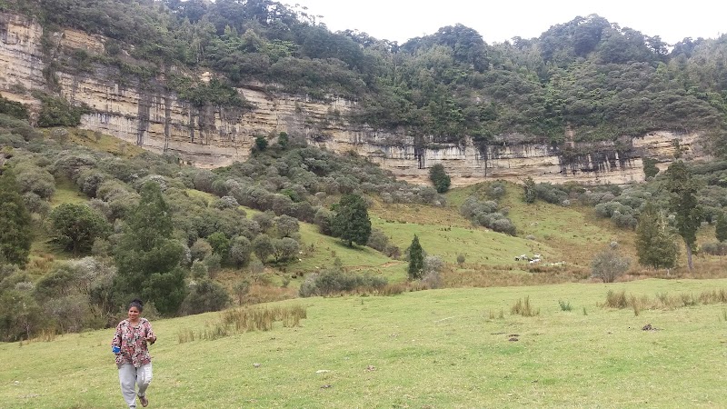 Eastern Taranaki Experience - Stratford - New Zealand - booked ai