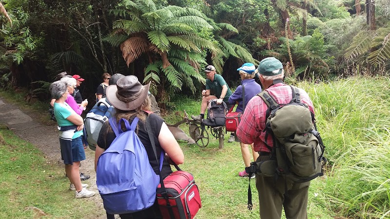 Eastern Taranaki Experience - Stratford - New Zealand - booked ai