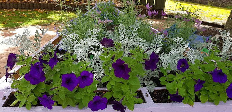 Discover Stratford: Your Ultimate Visitor Information Centre Guide - Taranaki - New Zealand - booked ai