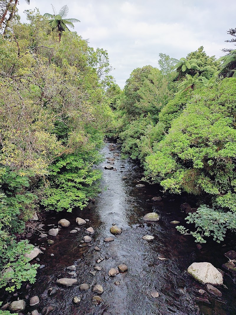 Carrington Walkway - Stratford - New Zealand - booked ai
