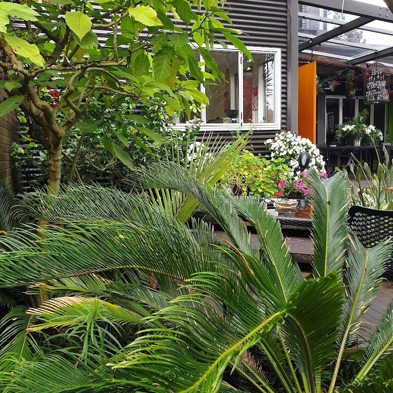 Nice Hotel, New Plymouth - New Plymouth - New Zealand - booked ai