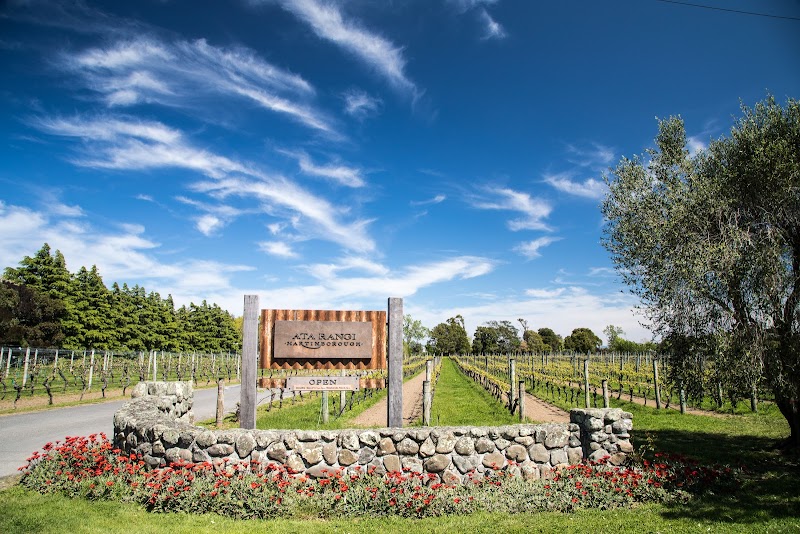 Ata Rangi Vineyard and Winery - Martinborough - New Zealand - booked ai