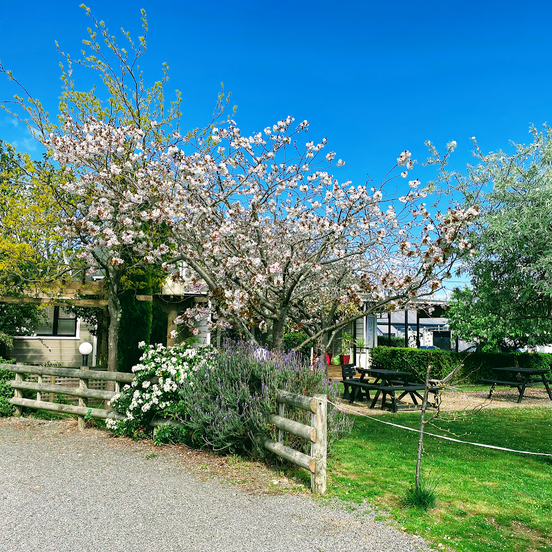 Pinot Villas Martinborough - Martinborough - New Zealand - booked ai
