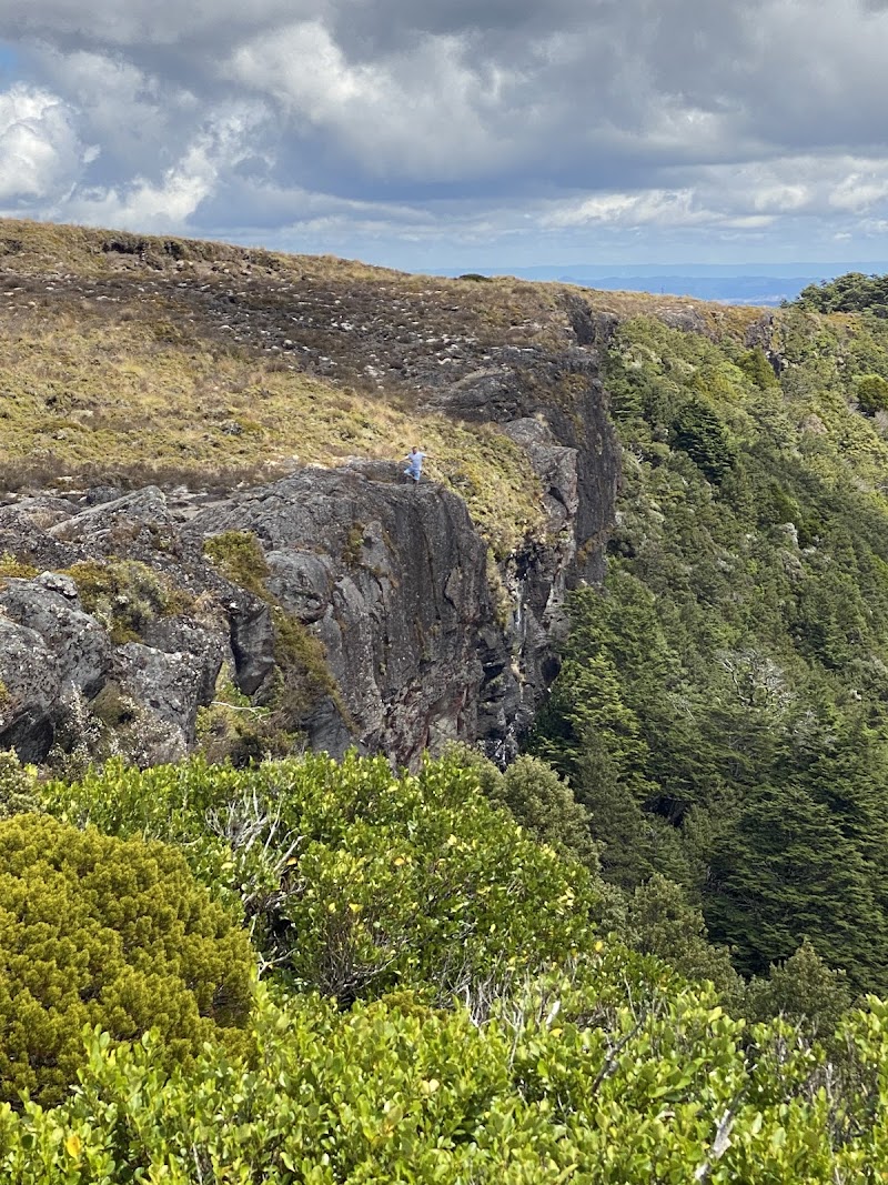 Exploring the Stunning Taranaki Falls - Manawatū-Whanganui Region - New Zealand - booked ai