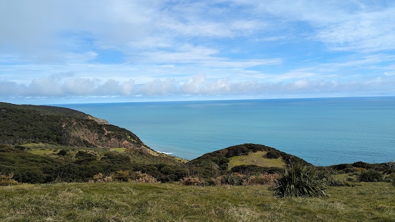 Te Toto Gorge Lookout - Raglan - New Zealand - booked ai