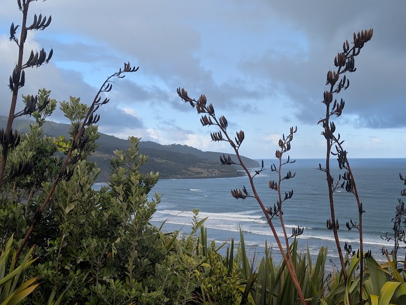 Michael Hope Lookout - Raglan - New Zealand - booked ai