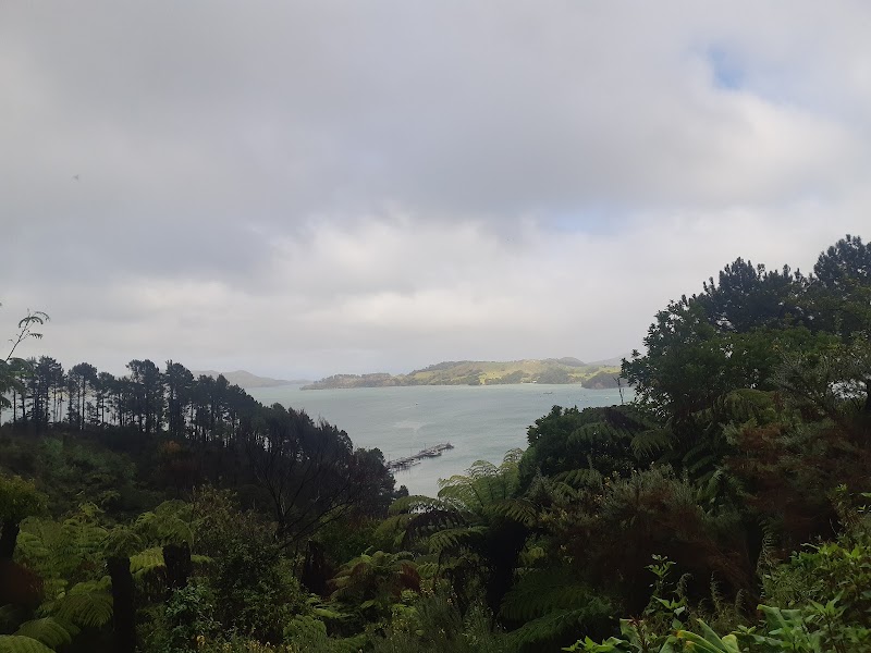 Kauri Block - Coromandel - New Zealand - booked ai