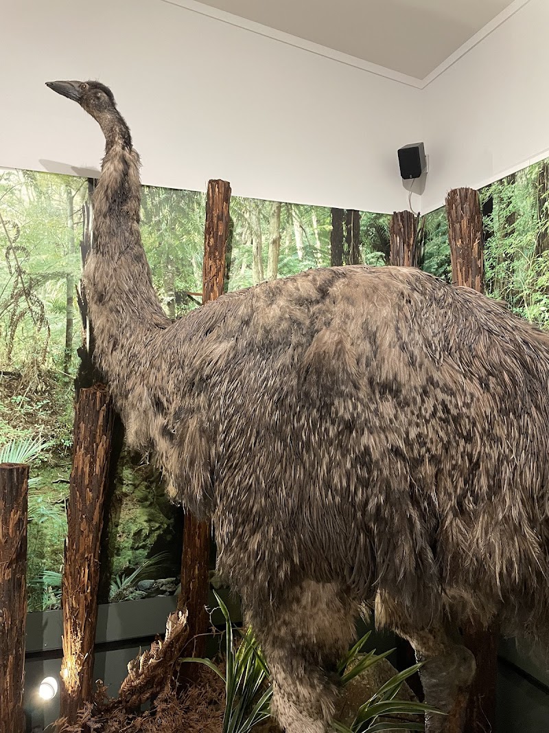 Discover the Rich Heritage of Mercury Bay Museum - Whitianga - New Zealand - booked ai