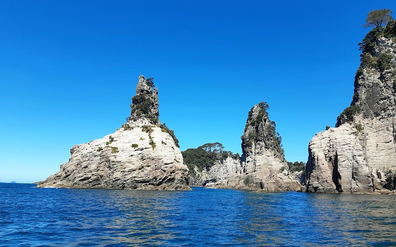 Exploring Cathedral Cove: Discover the Ocean Leopard Boat Tours - Whitianga - New Zealand - booked ai