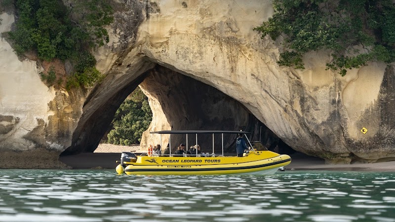 Exploring Cathedral Cove: Discover the Ocean Leopard Boat Tours - Whitianga - New Zealand - booked ai