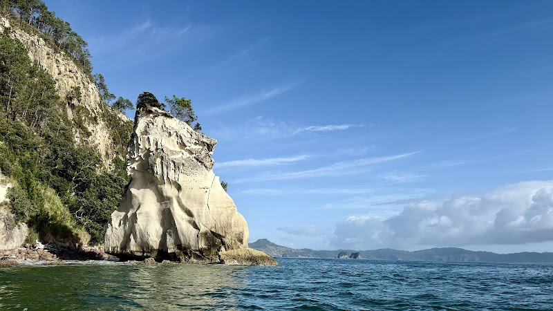 Exploring Cathedral Cove: Discover the Ocean Leopard Boat Tours - Whitianga - New Zealand - booked ai