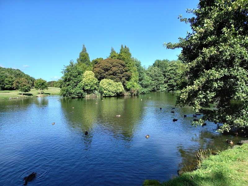 Ernies Reserve - Pukekohe - New Zealand - booked ai