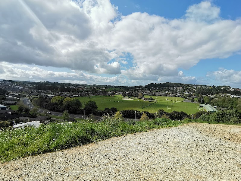 Ernies Reserve - Pukekohe - New Zealand - booked ai