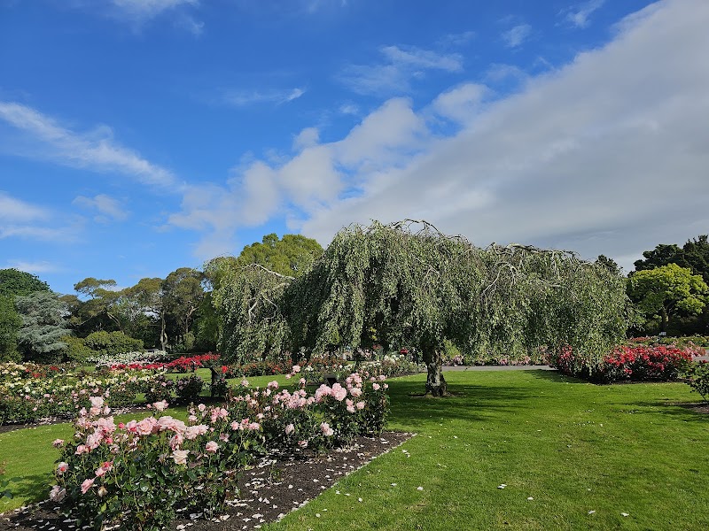 Exploring the Beauty of Victoria Esplanade - Palmerston North - New Zealand - booked ai