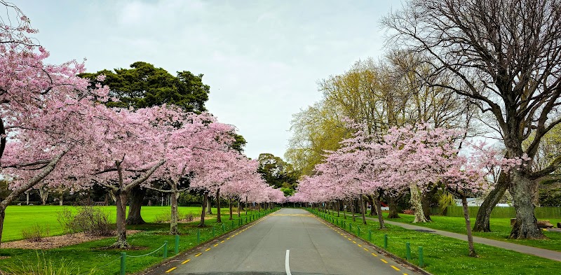 Exploring the Beauty of Victoria Esplanade - Palmerston North - New Zealand - booked ai