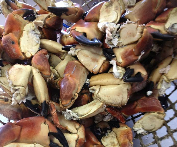 The Chalet Seafood Restaurant - Achill Island - Ireland - booked ai
