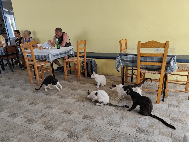 Visit the traditional village of Limenaria - Limenaria - Greece - booked ai