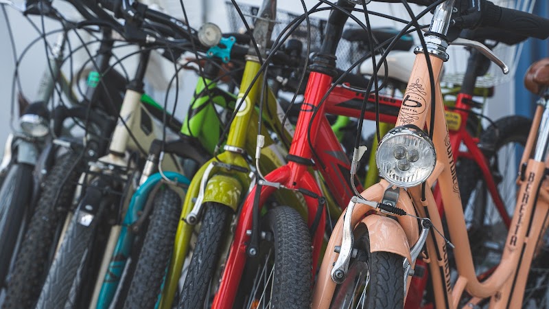 Explore Agistri by bike through its pine-covered trails - Agistri - Greece - booked ai