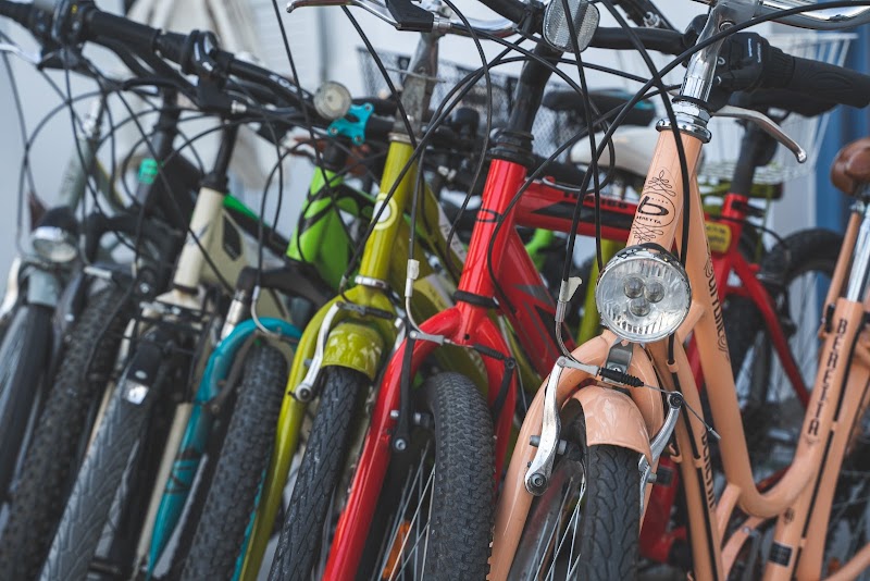 Explore Agistri by bike through its pine-covered trails - Agistri - Greece - booked ai