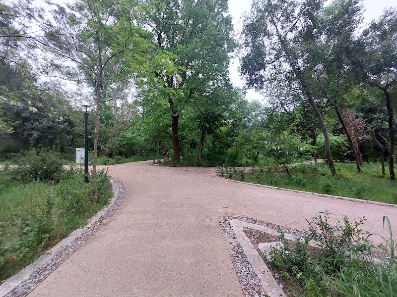 Walk through the Papastrateio Municipal Park - Agrinio - Greece - booked ai