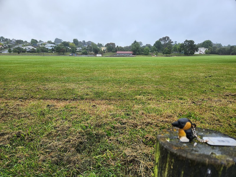 Victoria Park: A Comprehensive Guide to Perth's Beloved Gathering Spot - Feilding - New Zealand - booked ai