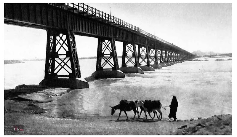 Explore Karun River and take a boat ride - Ahvaz - Iran - booked ai