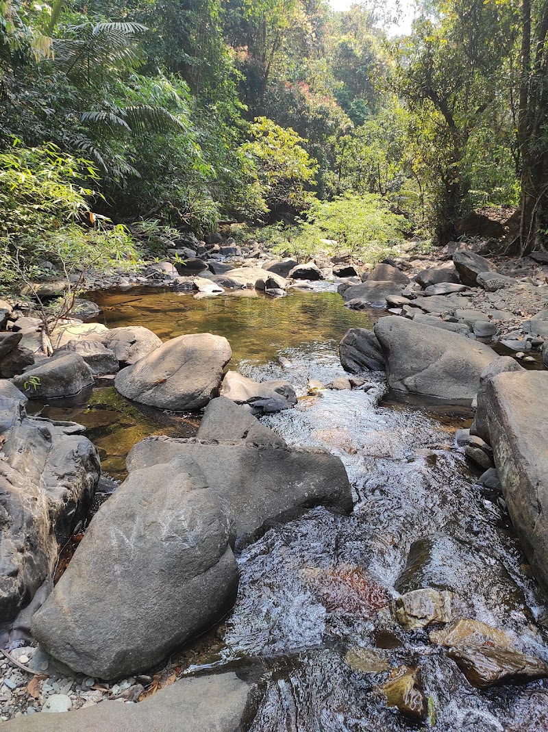 Trek to Kudlu Theertha Falls - Nadpal - India - booked ai